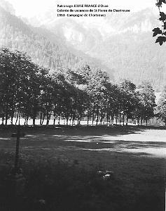 COLO JEUNE FRANCE 1953 campagne de Chartreuse